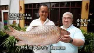 Empurau Fish 大馬馳名河魚~忘不了！