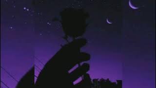 Woh Chand Kaha Se Laogi - Vishal Mishra ( slowed   reverbed )