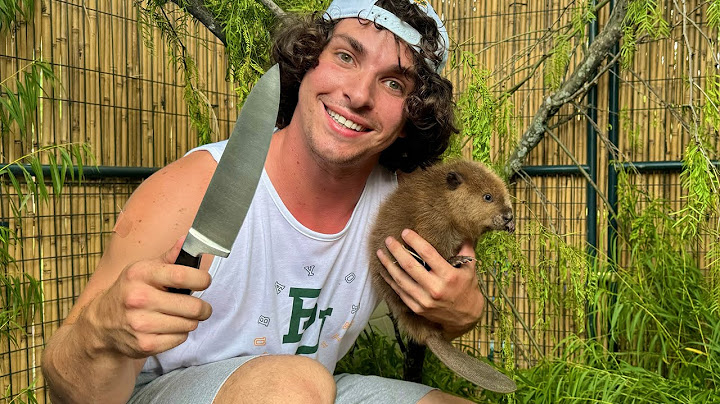 How to Catch and Cook a Baby Beaver (full tutorial)