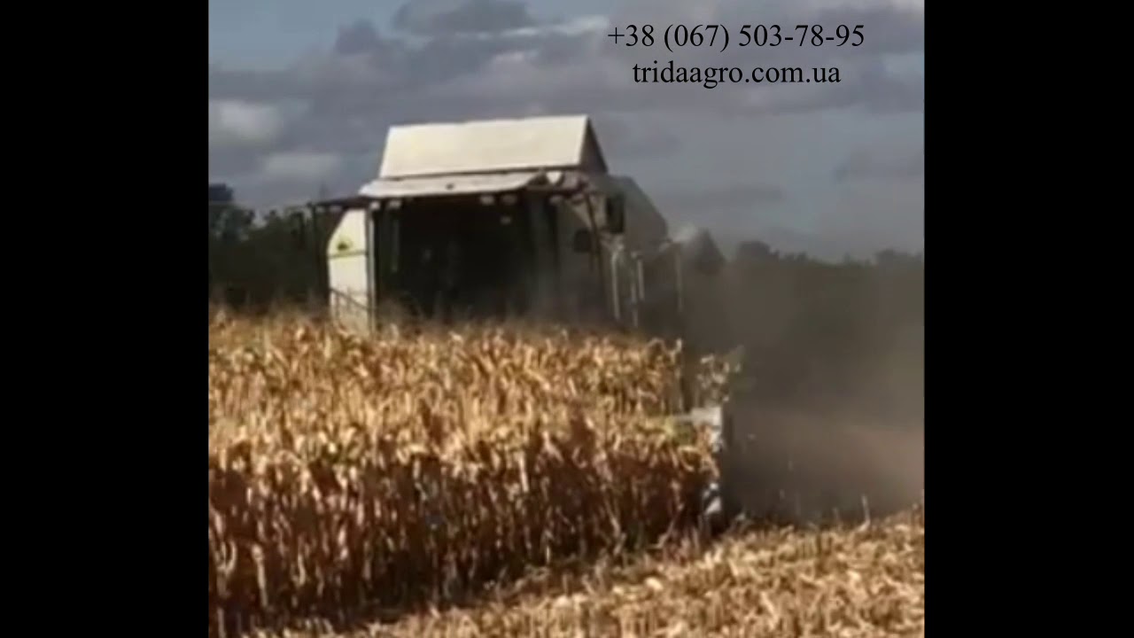 Жатка кукурузная Claas Conspeed 8-70 (2012)