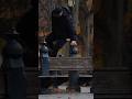 PARKOUR!! #shorts #funny #fartprank