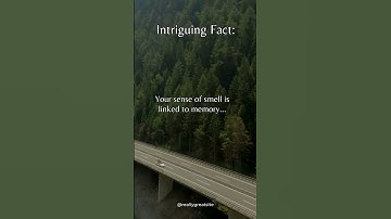 "Scented Memories: How Your Sense of Smell Is Linked to Your Past"🧡❤ #short  #facts