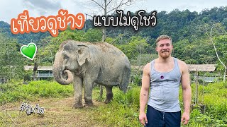 พาต่างชาติเที่ยว ดูช้างแบบไม่ดูโชว์ 🐘