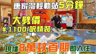 博士新歡推介｜珠海香州雙輕軌站旁｜深中深珠雙穚合璧