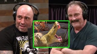 Joe Rogan  Jake the Snake: Mexican Rattlesnakes and Komodo Dragons