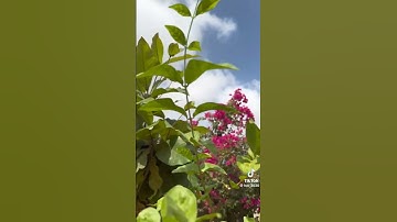 #تلاوة_مميزة #تلاوات_خاشعة #قرآن_كريم #القرآن_الكريم #راحة_نفسية #يارب #quran