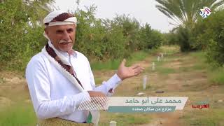 جيران صعدة - اليمن | الجار الغريب