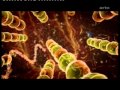 Documentaire 2015  linvasion des microbes