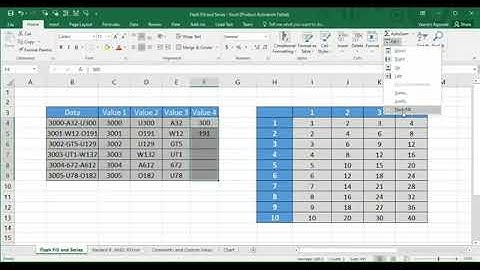 Microsoft Excel Tutorial   Flash Fill in Excel + Series features