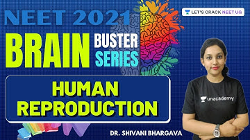 Human Reproduction | Part 1 | Brain Buster Series | NEET 2021 | Dr. Shivani Bhargava