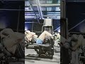 75 kg ab crunch machine