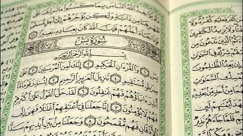 تلاوة الشيخ رشيد القليب ماتيسر من سورة يس.