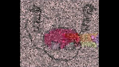 E11 Polish Number Station @5082 kHz