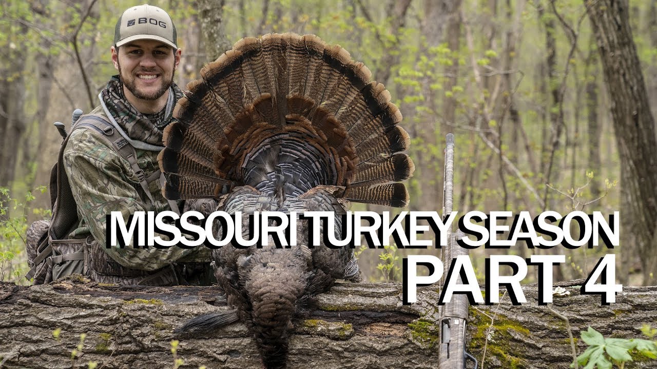 Missouri Turkey Season Part 4 PUBLIC LAND TURKEY DOWN! The Hunting