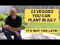 13 Veggies You Can Plant in July and still get a harvest