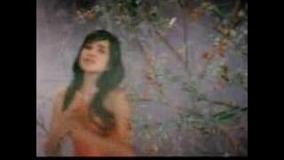 wo ai ni (i love u) pich sophea