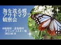 【旅する蝶】浅葱色の美しい蝶 アサギマダラ観察会@福島県北塩原村 グランデコスキー場・デコ平