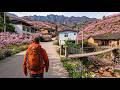 I Discovered A Cliff Village In China Buried In Peach Blossoms—It’s Like A Forgotten Fairyland