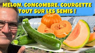 Melon, concombre, courgette, potiron : c'est le moment de les semer !