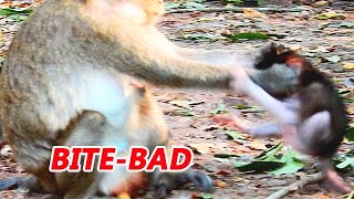 Bite Bad...!! Not mom bite me ! April fight baby Pepper so hard | Not see mom baby shaking cry.