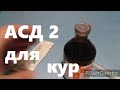 АСД- 2 для кур несушек//Как Использовать АСД-2 / Как пропаивать птицу//Полезные Свойства АСД-2/АСД-2