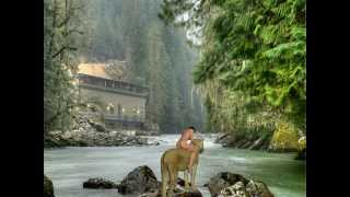 Girl Riding For Bath With Her Pet Lion