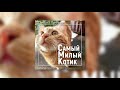 Симбочка Пимпочка - Самый Милый Котик