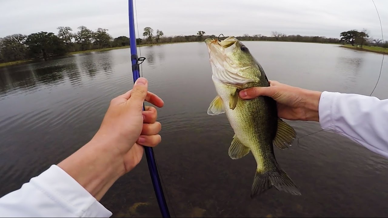 Catching PreSpawn Topwater BassBIG Texas Ranch Adventure Part 1 YouTube