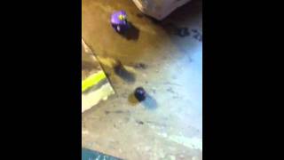 Boy Squinkie air plane disaster part 9