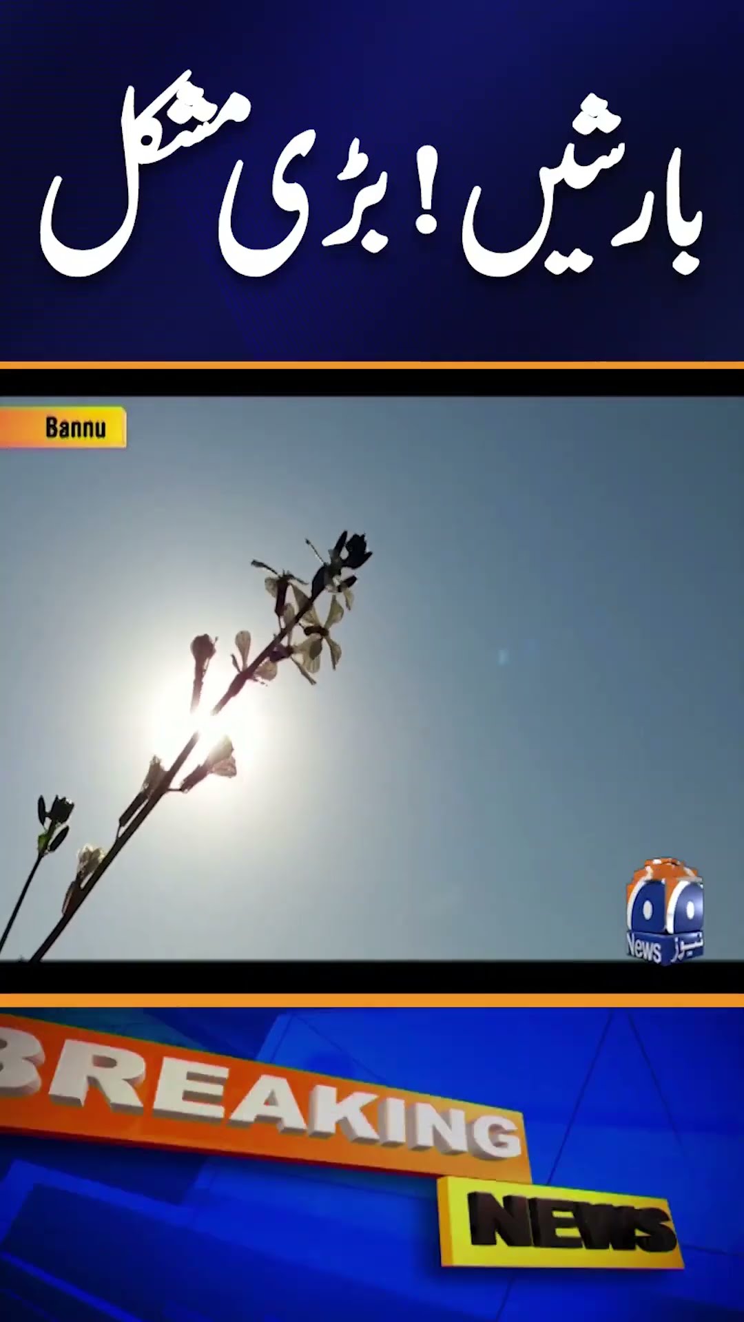 Weather Latest Updates | Bannu Wheat Crop Crisis: Agriculture Struggles | Geo News