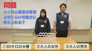 厚紙で作ったハニカム構造、どれくらいの重さに耐えられる？【静岡科学館×静岡新聞】