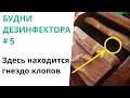 БУДНИ ДЕЗИНФЕКТОРА #5 Гнездо клопов в кресло-кровати