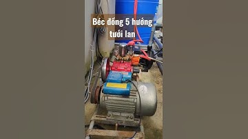 Béc đồng phun sương 5 hướng tưới lan, cây cảnh giá rẻ nhất hiện nay