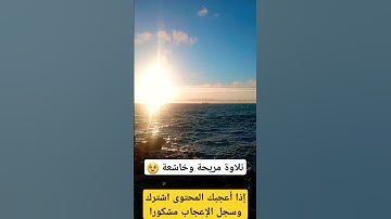 #القرآن_الكريم #سورة_الجاثية #آيات_بينات  #المغرب_الجزائر  #تلاوة_خاشعة #islam #القرآن #راحة_نفسية