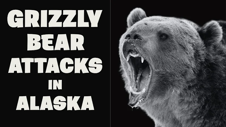 Grizzly Bear Attacks in Alaska