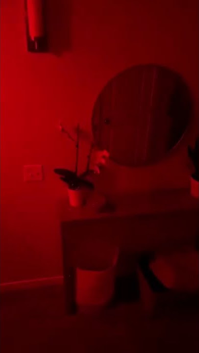 Alexa, Intruder Alert Smarthome Routines