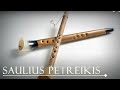 Lithuanian folk instrument Birbyne, Baltic Vikings, Calm Music, Folk Music, Saulius Petreikis