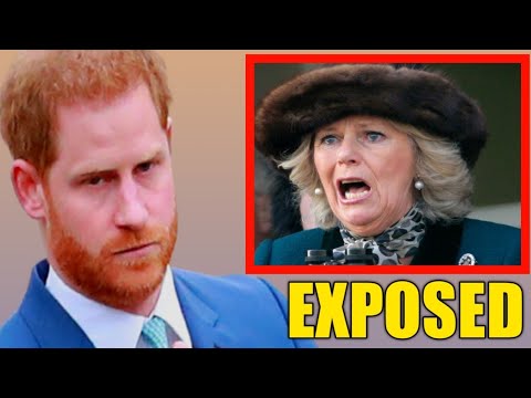 Queen's Confidant got Prince Harry Arrested as she Exposed this infos ...