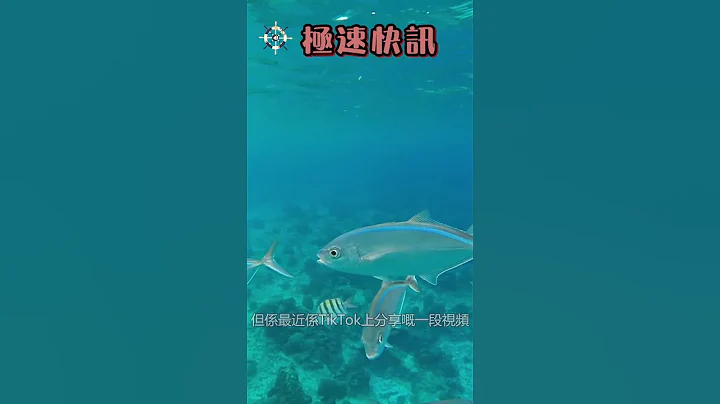 【極速快訊60s】遲到大神的騷操作引百萬人圍觀！# shorts​​​ | Cruise News | - 天天要聞