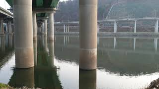 대구 금호대교 배스 포인트 위치