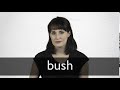 How to pronounce bush in british english