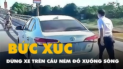Dừng ô tô trên cầu ném đồ xuống sông, bị phạt 13,5 triệu đồng
