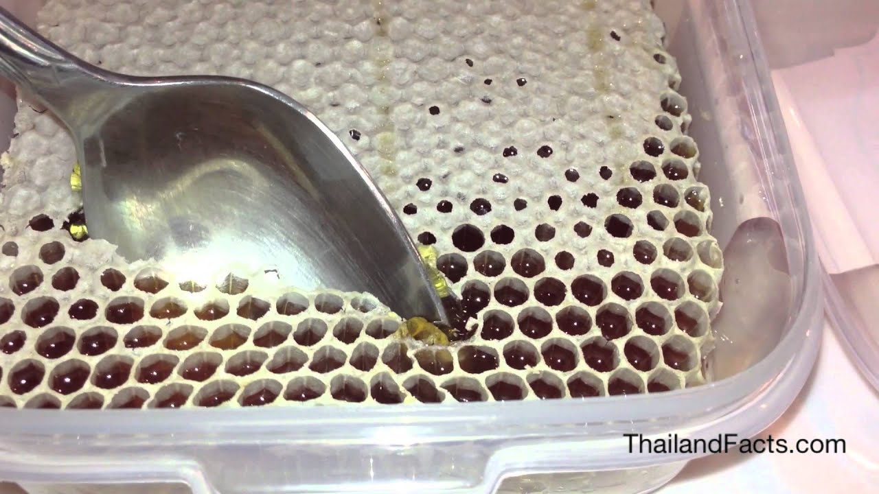 Thailand Honey in YouTube