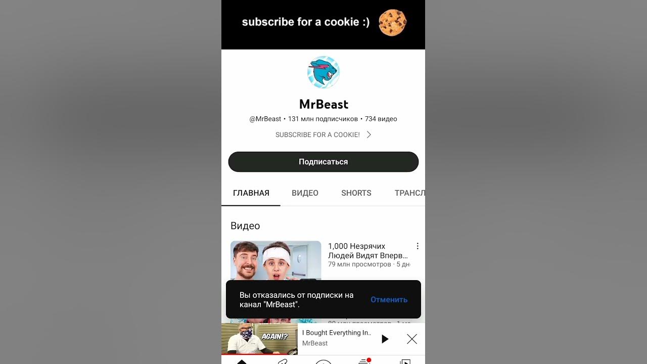 мистр бист - YouTube