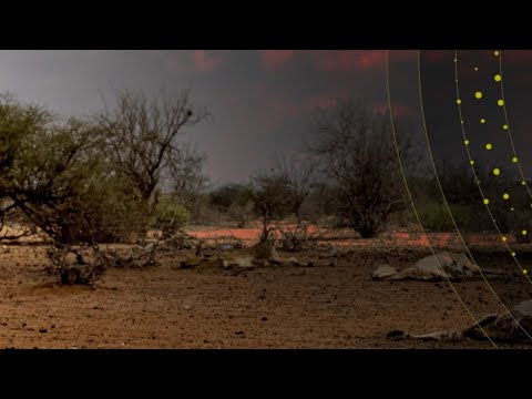 Vidéo: La météo et le climat au Kenya