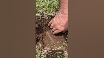 Metal Detecting A 50 Calibre Amour Piercing Round With A Nokta Legend Metal Detector