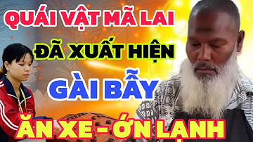 Cờ tướng - Cả nước rúng động, Ngô Lan Hương chạm trán Ma cờ Mã Lai