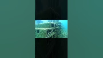 An artificial reef created by using nothing but concrete blocks   #shorts
