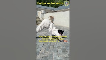 Động tác giúp cơ thể khỏe mạnh | Best health action for body