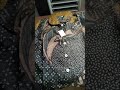 Rekomendasi Batik Anak #batik #batikanak #batikkeren #melvajoanna